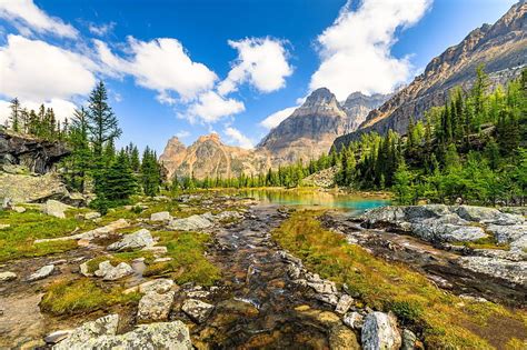 Yoho National Park Cool Nature Mountains Forest Fun Hd Wallpaper