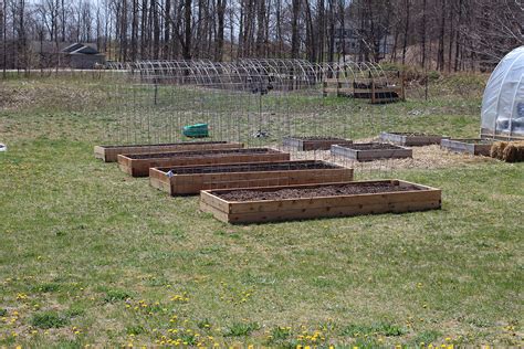 Maybe you would like to learn more about one of these? Cattle Panel Trellises - The Curious Road