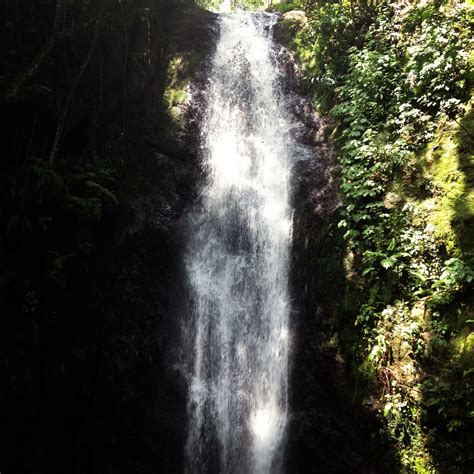 Los Chorros park Caracas Venezuela | Places to go, Outdoor, Waterfall