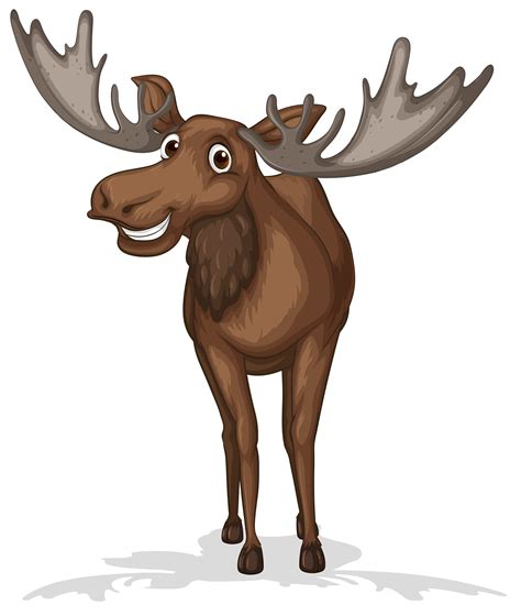 Cartoon Moose Vector Art Icons And Graphics For Free Download