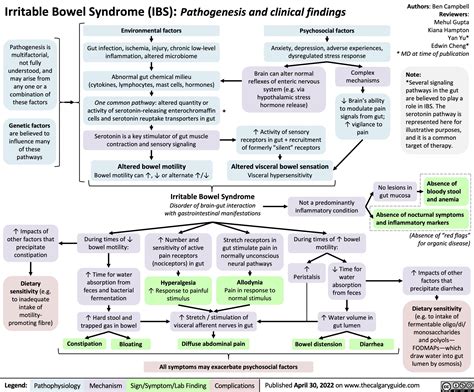 Irritable Bowel Syndrome Ibs Pathogenesis And Clinical Findings Calgary Guide