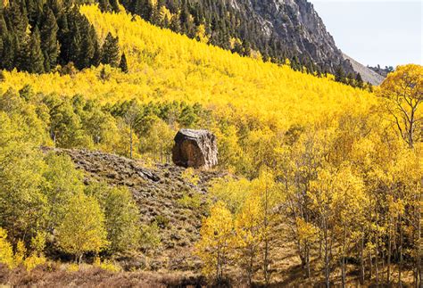Cdl a reefer driving jobs, cdl a driver jobs dedicated, parking lot attendant winter seasonal, housekeeper winter seasonal, power only seeking cdl a. Houck and Smith for commissioner - The Crested Butte News