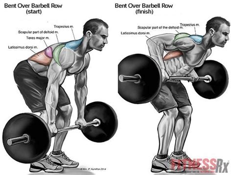 Workout Tips How To Perform Bentover Barbells Rows Without Hurting