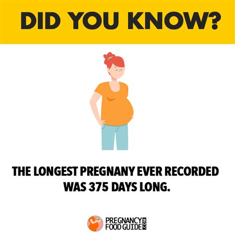 Longest Pregnancy Pregnancy Food Guide