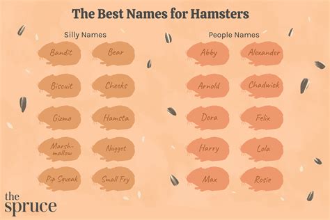 Names For Pet Hamsters