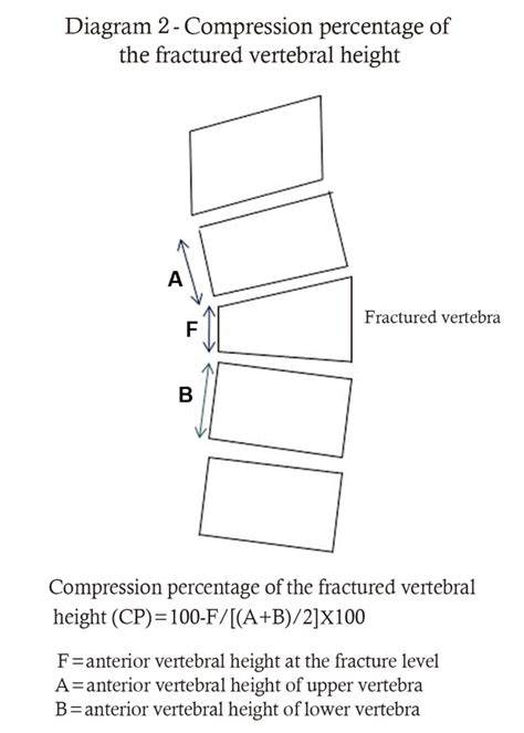 Diagram Showing Calculations Of Compression Percentage Of The Fractured
