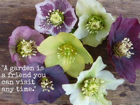 Check spelling or type a new query. Famous quotes about 'Garden' - Sualci Quotes 2019
