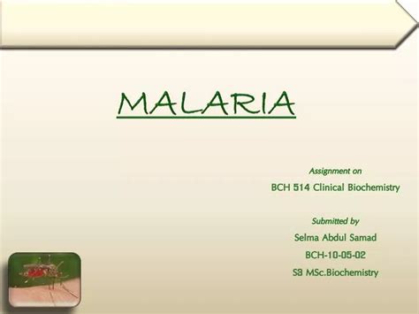 Ppt Malaria Powerpoint Presentation Free Download Id 2950790