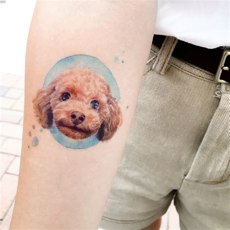 Dog Tattoos Watercolor Animal Temporary Tattoos Poodle Tattoo Etsy