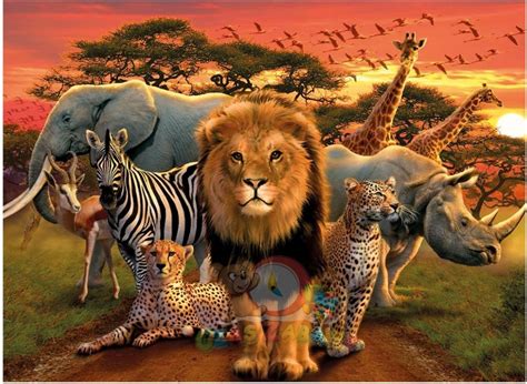 Ravensburger 500el Afrykańskie Zwierzęta 141777 Ceny I Opinie Ceneopl