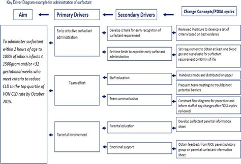 This Key Driver Diagram Outlines The Steps That Hospital Based Team