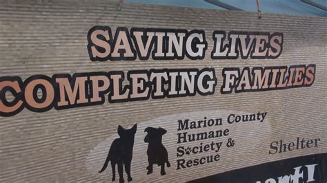 Marion County Humane Society Hosts Block Party Adoption Event