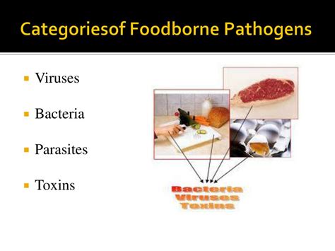 Ppt Foodborne Illness Powerpoint Presentation Free Download Id1909609