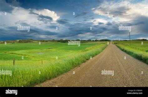 Country Road With Fence High Resolution Stock Photography And Images
