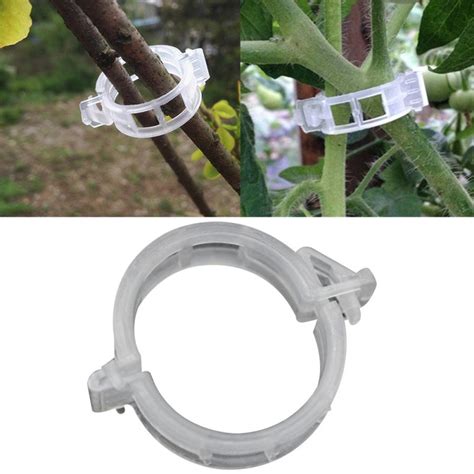 50 Pcs Reusable 25mm Plastic Plant Support Clips Clamps For Plants