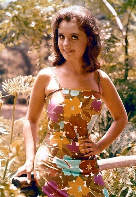 dawn wells classic hollywood old hollywood hollywood legends sandro mary ann and ginger