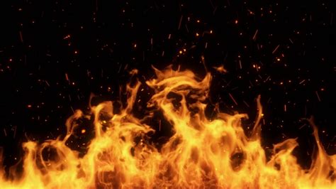 Rising Fire Flames with Embers Stock Footage Video (100% Royalty-free ...