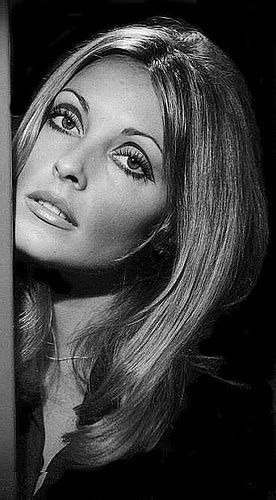 The Social Life By Lily Lemontree The Lovely Ones Sharon Tate