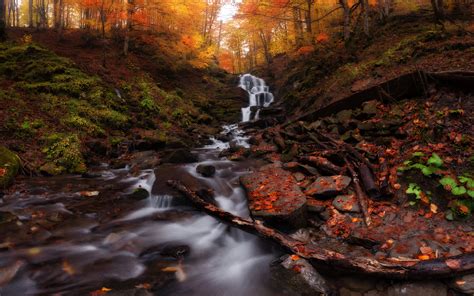 Download 3840x2400 Wallpaper Autumn Forest Water Current Waterfall