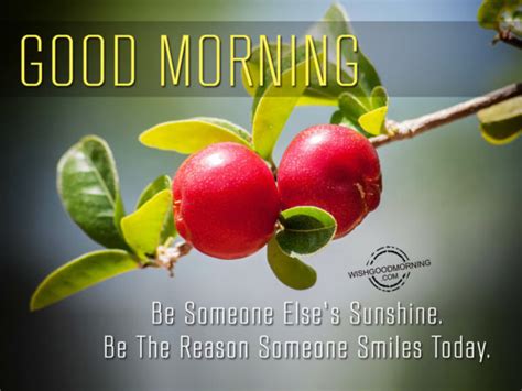 Be Someone Elses Sunshine Be The Reason Someone Smiles ...