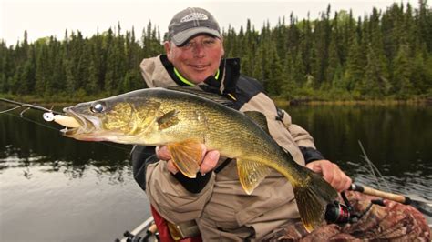 Canada Walleye Fishing As Easy As It Gets Youtube
