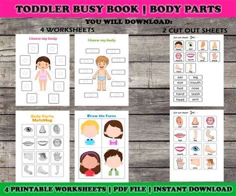 Toddler Busy Book Page Body Parts Matching Toddler Learning Etsy