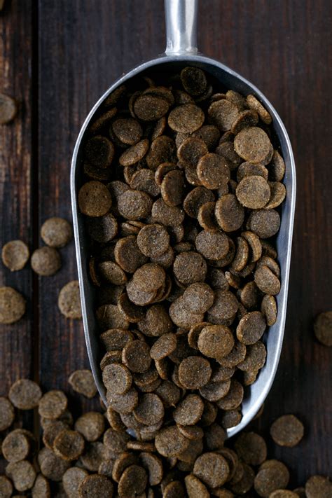 Grain free homemade dog food. Grain-Free Blends Available! | Dog food recipes, Food ...