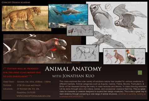 Concept Design Academy Last Chance To Enroll For Animal Anatomy With