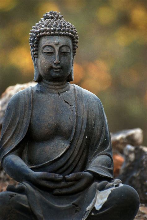 Zen Buddha Reflexion Kostenloses Foto Auf Pixabay Buddhismus