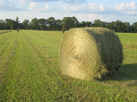 Fresh Hay On A Summer Afternoon Smithsonian Photo Contest