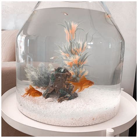 Look at my diy betta fish tank! Pin by Savannah Kitner on fish tanks in 2020 | Betta fish bowl, Diy fish tank, Fish tank decorations