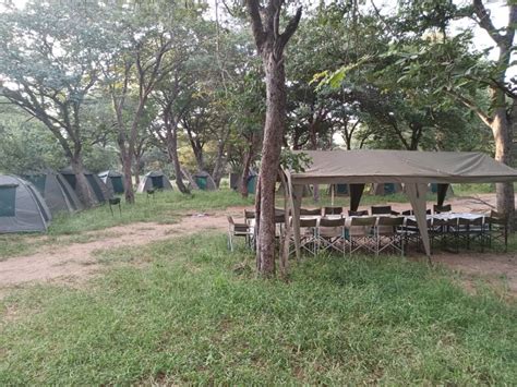3 day chobe camping safari tour wildlife safaris in zambia