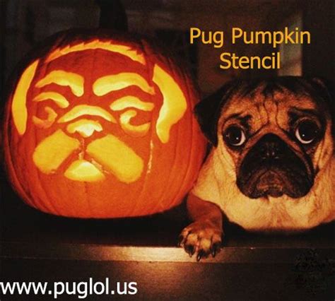 Pug Pumpkin Stencil Pumpkin Carving Dog Pumpkin Pug Halloween Costumes