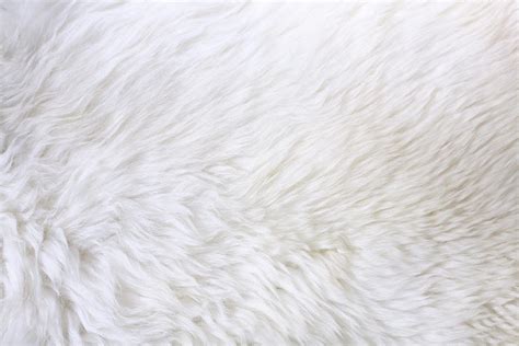 Close Up View Of White Fur Detail By Hypertizer