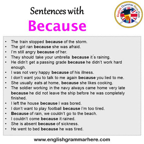 Sentences With Because Because In A Sentence In English Sentences For