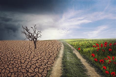 Άνοδο παρουσίασε ο γενικός δείκτης στο χρηματιστήριο αθηνών. ΟΗΕ: Η ξηρασία μπορεί να είναι η επόμενη πανδημία