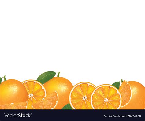 Orange Fruit Background Royalty Free Vector Image