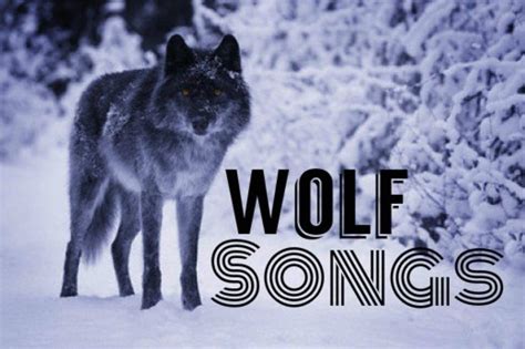 Adani & wolf — blind prayer 03:42. Top 10 Wolf Songs - Spinditty - Music