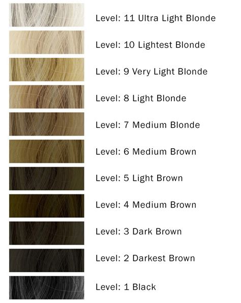 The developer with volume over 40 is not recommended to use because of. Hair Color Levels and Different Volumes of Developers ...