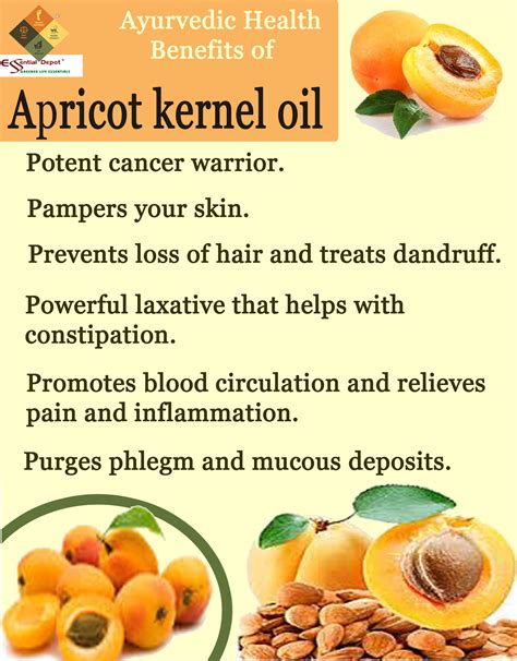 Apricot kernel oil is an excellent natural alternative to avoid the dryness that normally appears after a hair removal. The 25+ best Apricot oil benefits ideas on Pinterest
