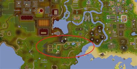 This item can be transmuted into yew logs. Runescape F2p Maple Trees - slidesharedocs