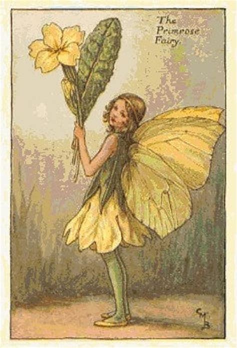 Primrose Cross Stitch Pattern Pdf Format Vintage Fairies Fairy