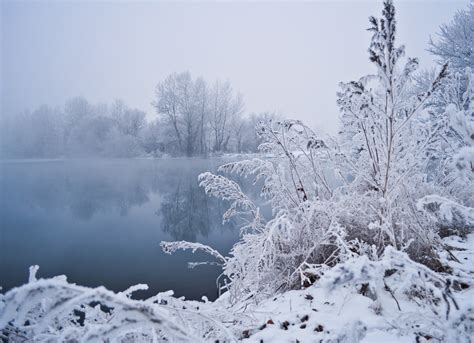 Free Images Tree Water Forest Branch Mountain Snow Winter Fog