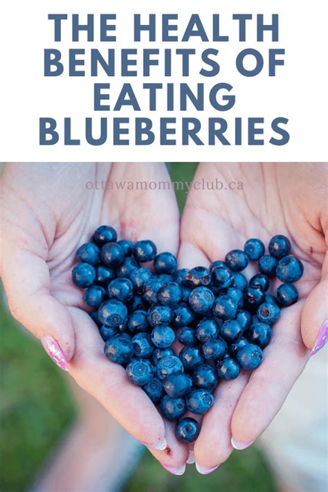 Health Benefits Of Eating Blueberries Ottawa Mommy Club