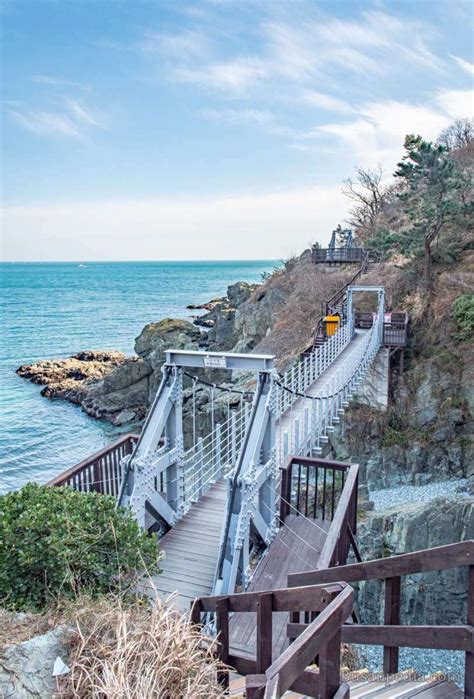 Igidae Coastal Walk 이기대 해안산책로 In Busan Korea