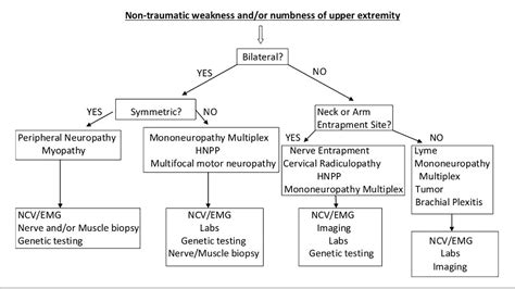 Figure 1 From Neuromuscular Mimics Of Entrapment Neuropathies Of Upper