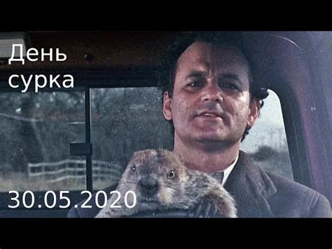 День сурка дисконт в тц экстрим. День сурка - YouTube
