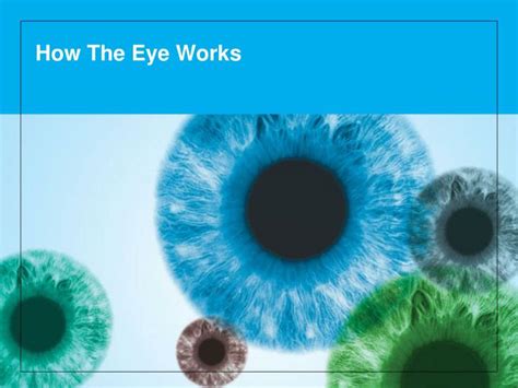 Ppt How The Eye Works Powerpoint Presentation Free Download Id3478355