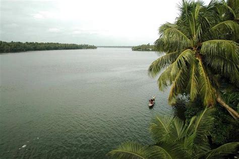 The primary factor that distinguishes wetlands from other land forms or water bodies is the characteristic vegetation of aquatic plants, adapted to the unique hydric soil. Escalating salinity upsetting wetland ecosystem in Kerala ...