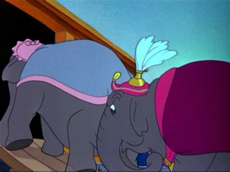 Dumbo Matriarch